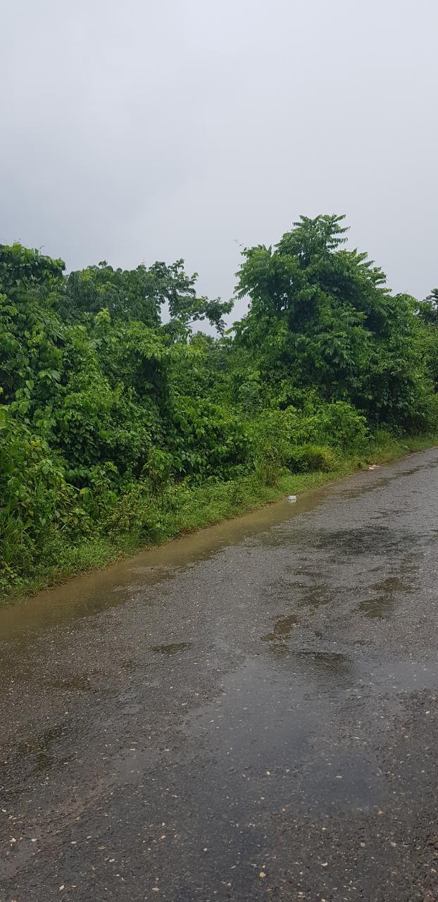 Residential Lot For Sale ELIM, ST. ELIZABETH, Braes River 2,000,000