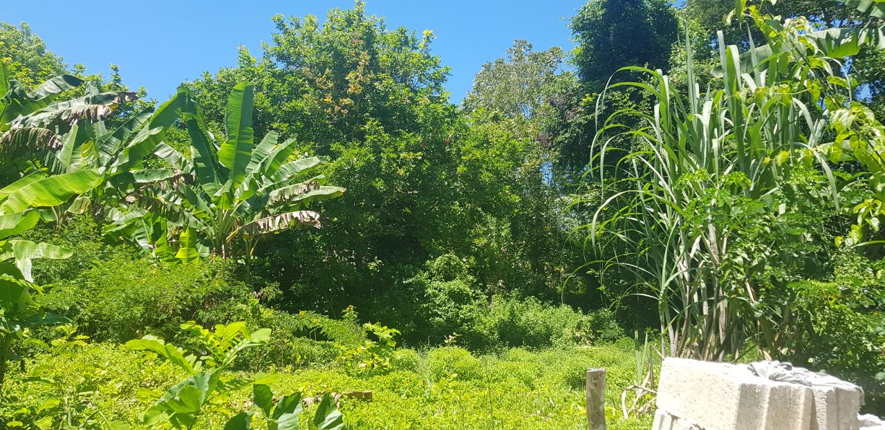 Development Land (Residential) For Sale HAMILTON MOUNTAIN, Oracabessa