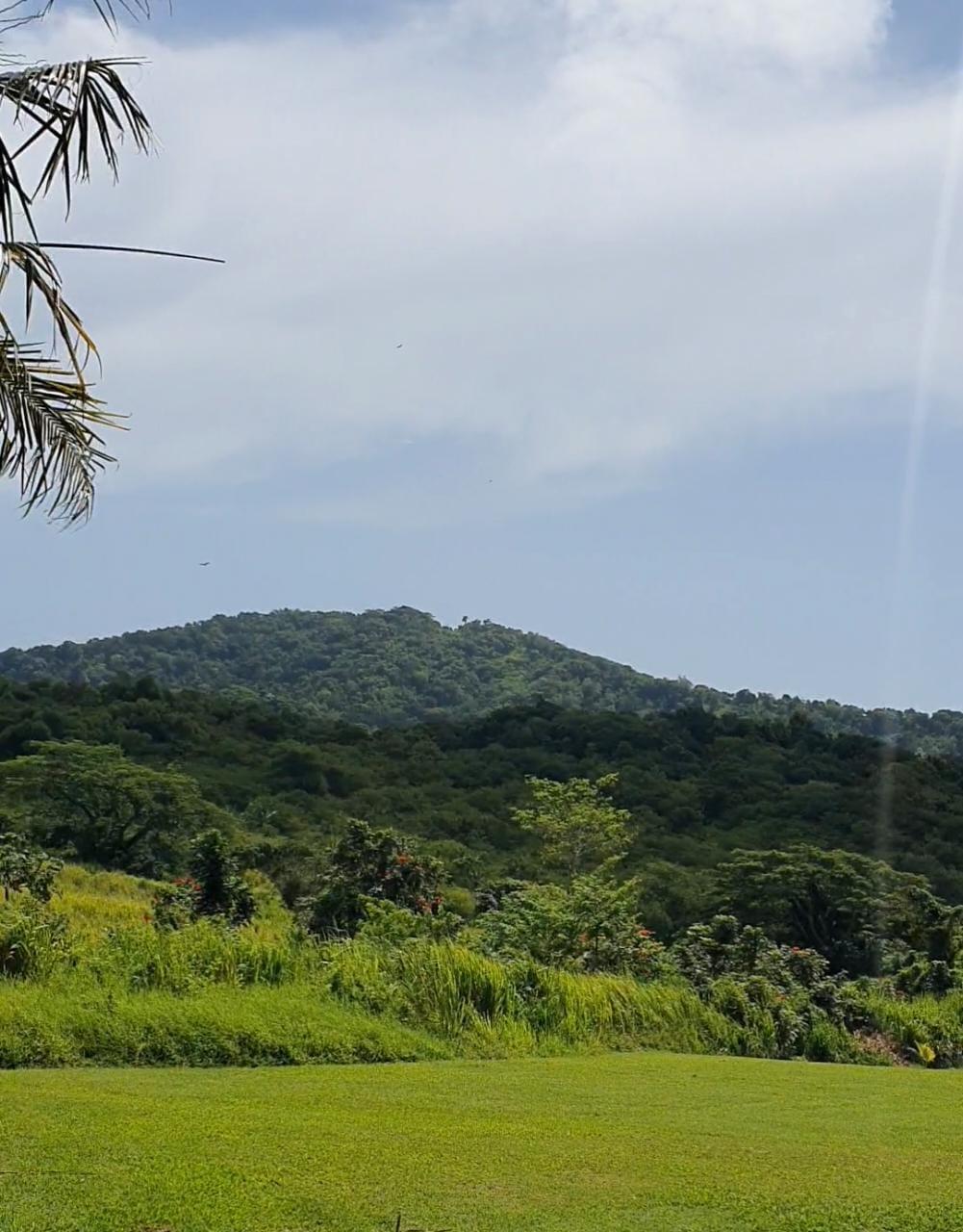 Development Land (Residential) For Sale FRIENDSHIP, ISLINGTON PO