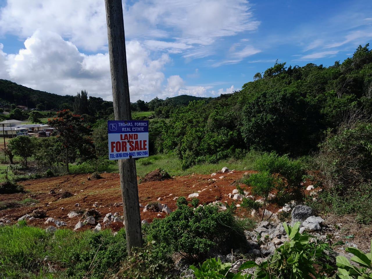 Residential Lot For Sale WICKWAR, Hat Field 7,000,000 Keez