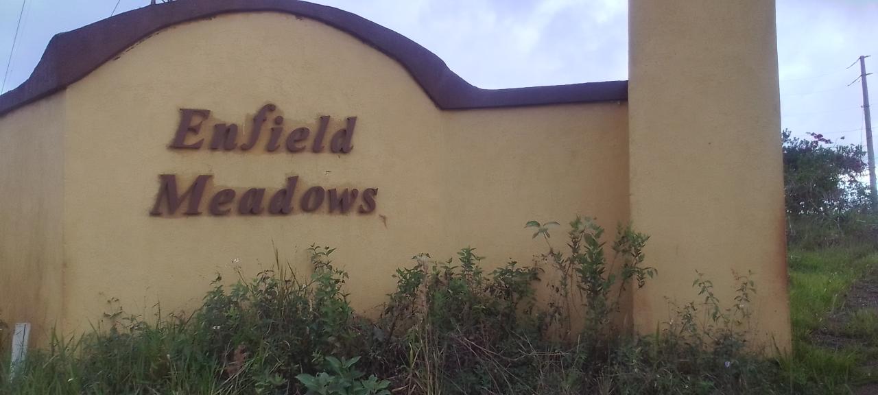 Residential Lot For Sale NEW WALES, MANDEVILLE, Mandeville