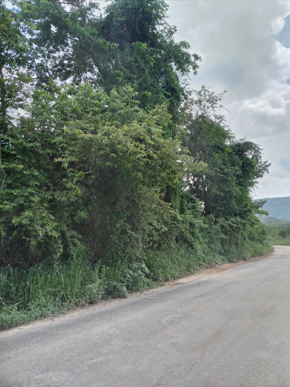 Development Land (Residential) For Sale ST. JAGO ROAD, Toll Gate