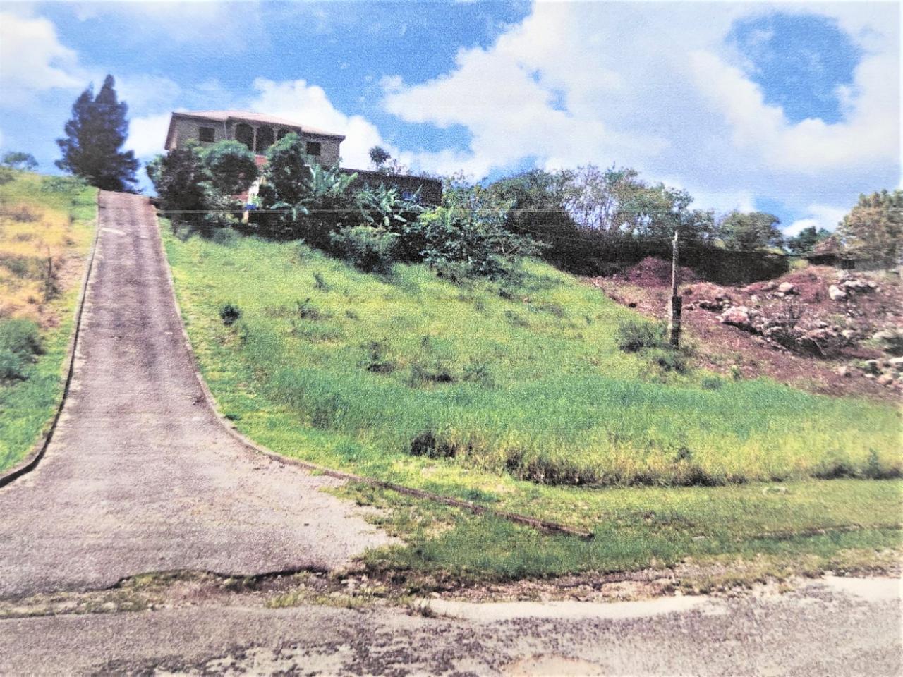 House For Sale WILLIAMSON DRIVE, Knockpatrick 35,000,000 Keez