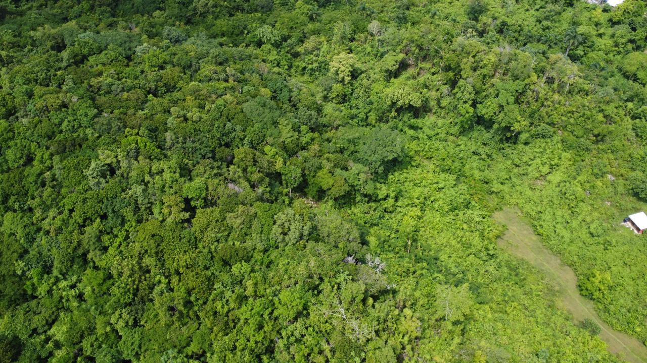 Residential Lot For Sale BALMORAL HEIGHTS, Tower Isle 70,000 Keez