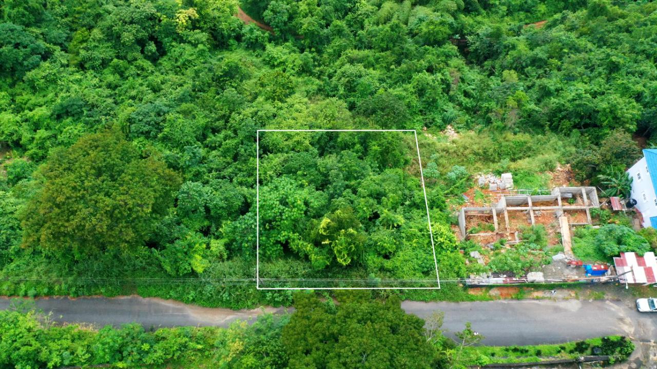 Residential Lot For Sale MOUNT ROYAL CLOSE, Kingston 9 16,500,000