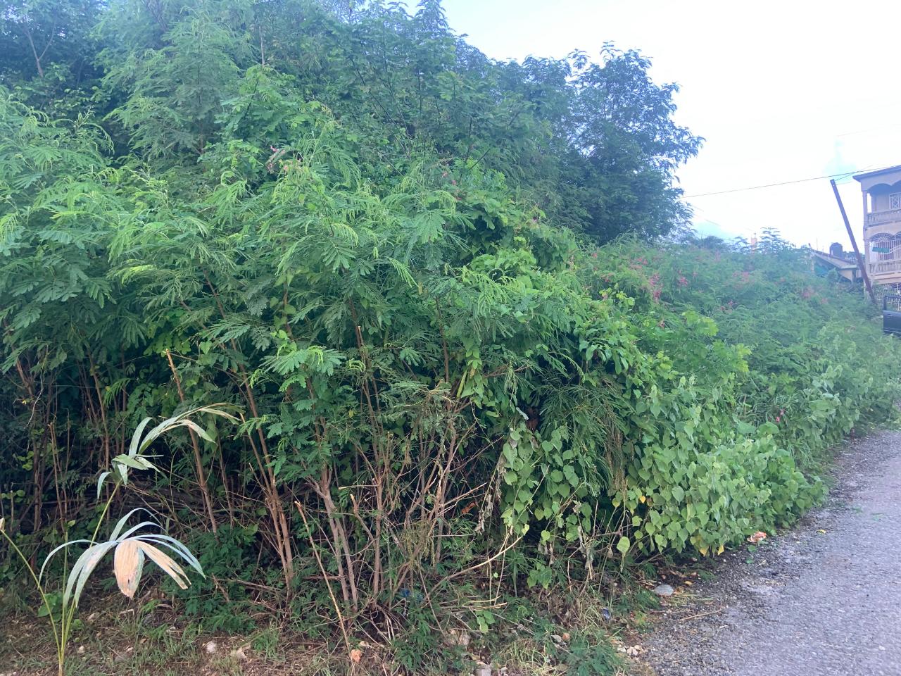 Residential Lot For Sale SEAVIEW TERRACE, Old Harbour 4,800,000 Keez