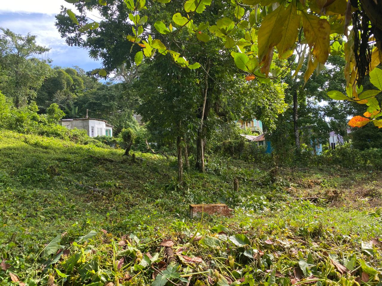 Development Land (Residential) For Sale TRINITY, PORT MARIA, Port