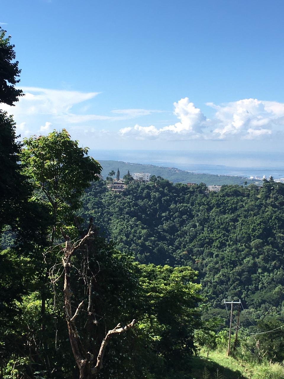 Development Land (Residential) For Sale ELLERSLIE WAY, Irish Town