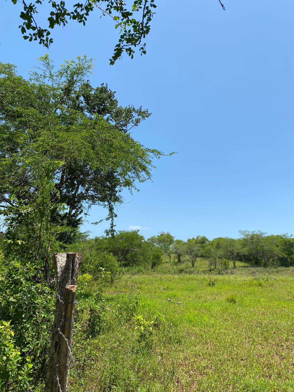Development Land (Residential) For Sale LUANA, Black River