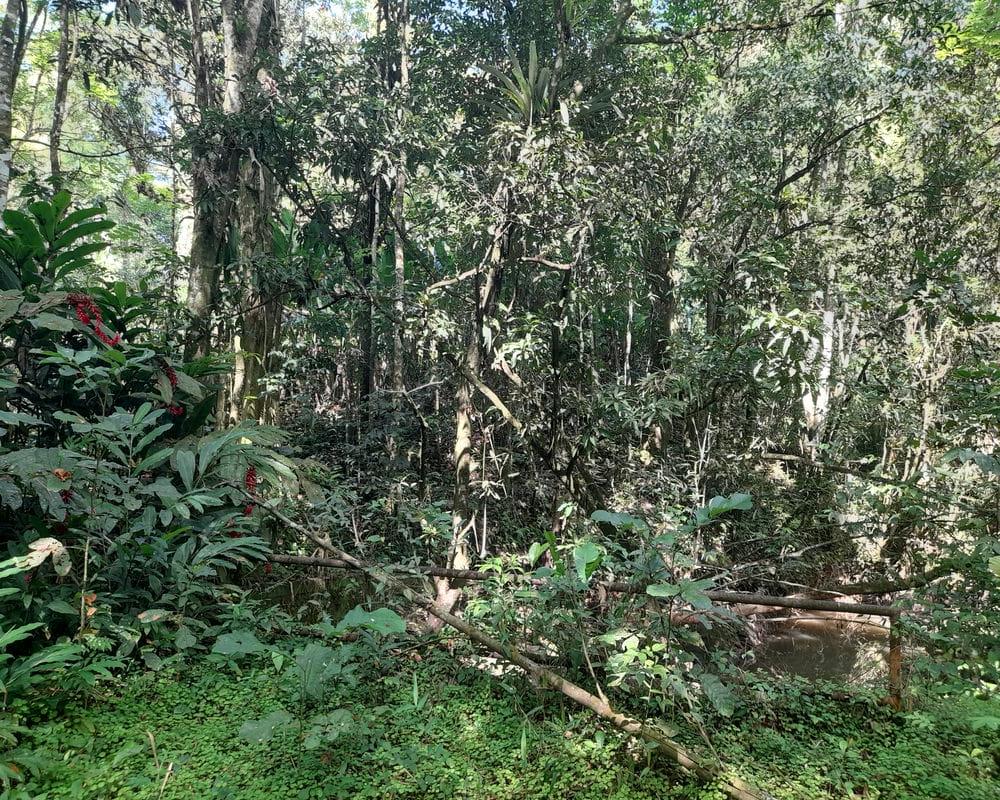 Development Land (Residential) For Sale DUCKETTS SPRING, Bethel Town