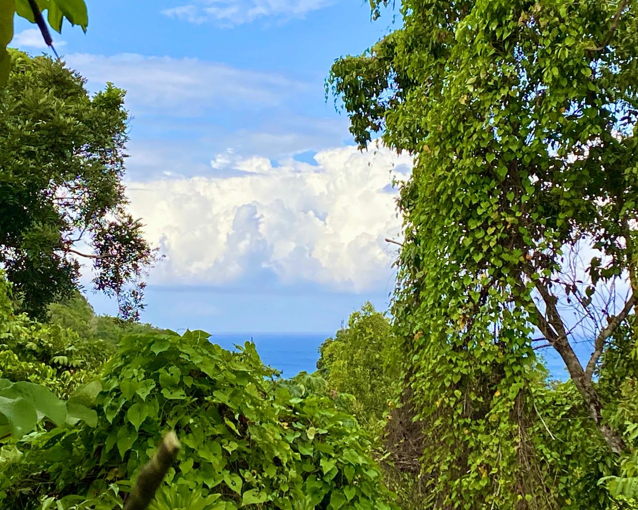 Residential Lot For Sale GIBRALTAR ESTATE, Oracabessa 17,000,000 Keez