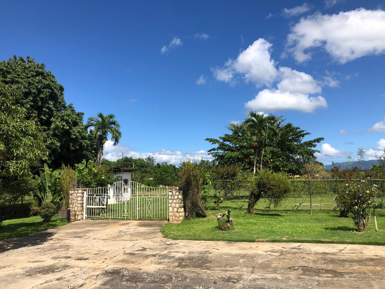 Development Land (Residential) For Sale BANBURY ESTATE, LINSTEAD, Linstead 60,000,000 Keez