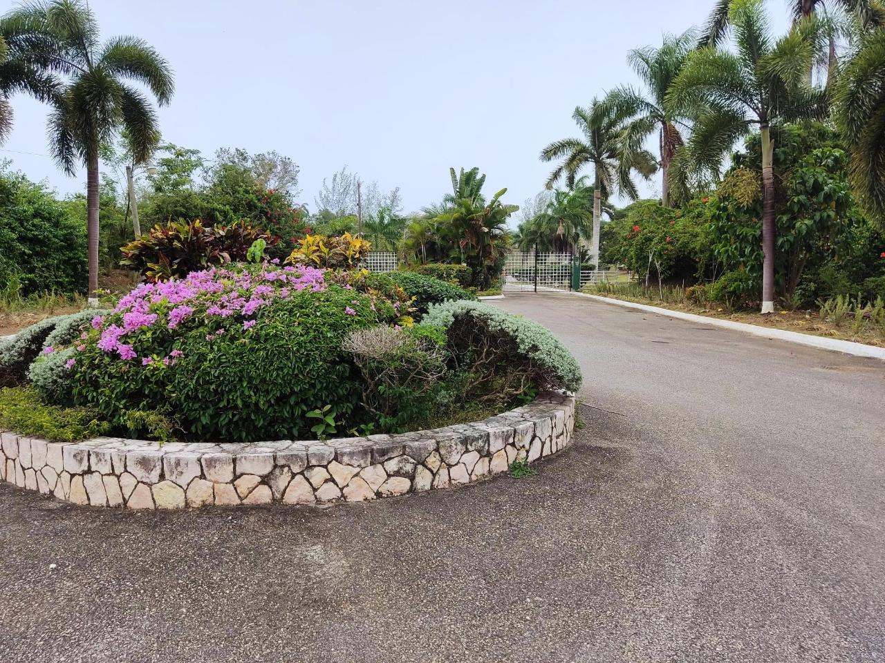 Residential Lot For Sale: 62 NEGRIL ESTATE, Negril | $75,000 | Keez