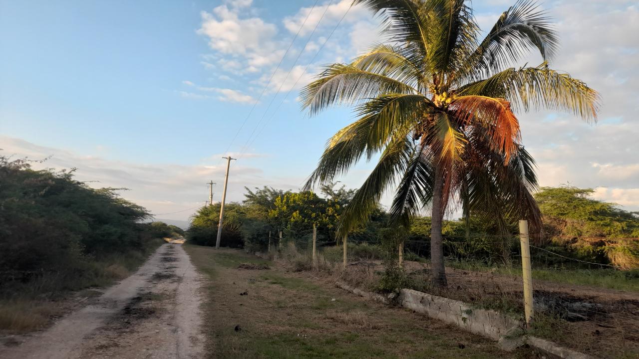 Development Land (Residential) For Sale HARTLANDS BOULEVARD, Spanish