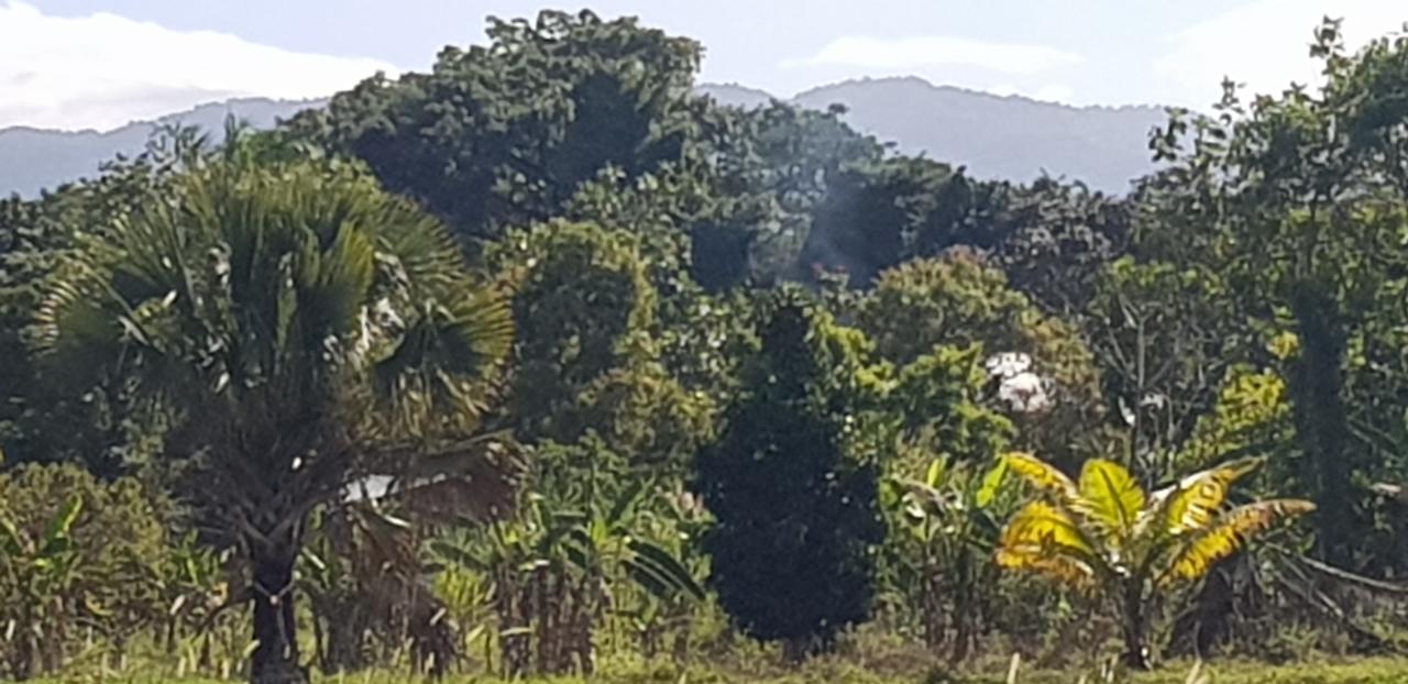 Development Land (Residential) For Sale SMITHFIELD, SavannaLaMar