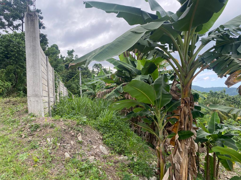 Residential Lot For Sale KILDARE, Buff Bay 6,000,000 Keez