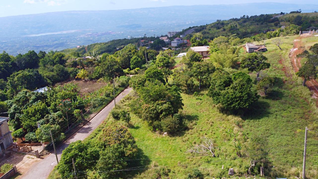 residential-lot-for-sale-swaby-apos-s-hope-spur-tree-75-000-keez