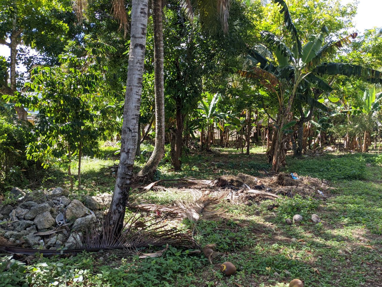 Residential Lot For Sale CONTENT GARDENS,OCHO RIOS, Ocho Rios