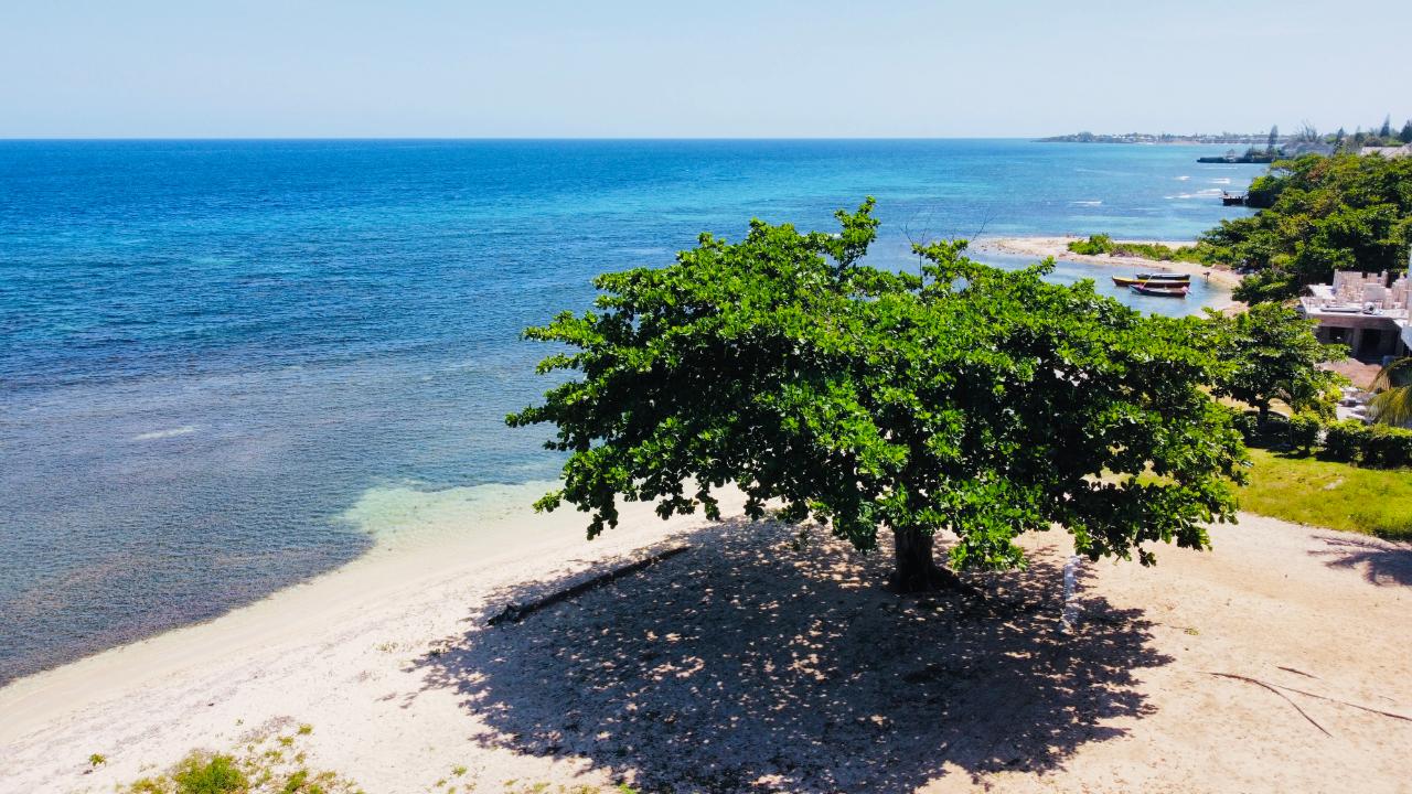 Development Land (Residential) For Sale RUNAWAY BAY, ST.ANN, Runaway