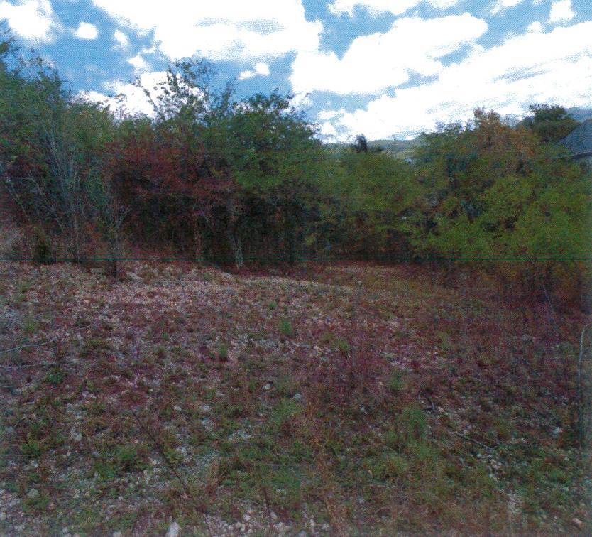 Residential Lot For Sale REYNOLDS ROAD, LUANA PEN, Black River