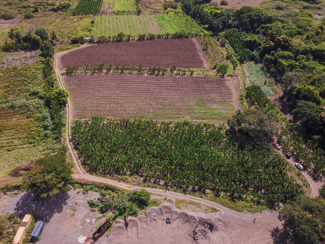 Development Land (Residential) For Sale DENBIGH, DENBIGH P.O. CLA