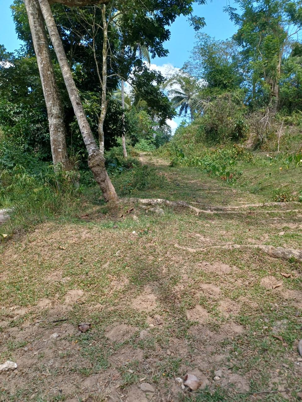 Development Land (Residential) For Sale WILLIAMSFIELD, ST CATHERI