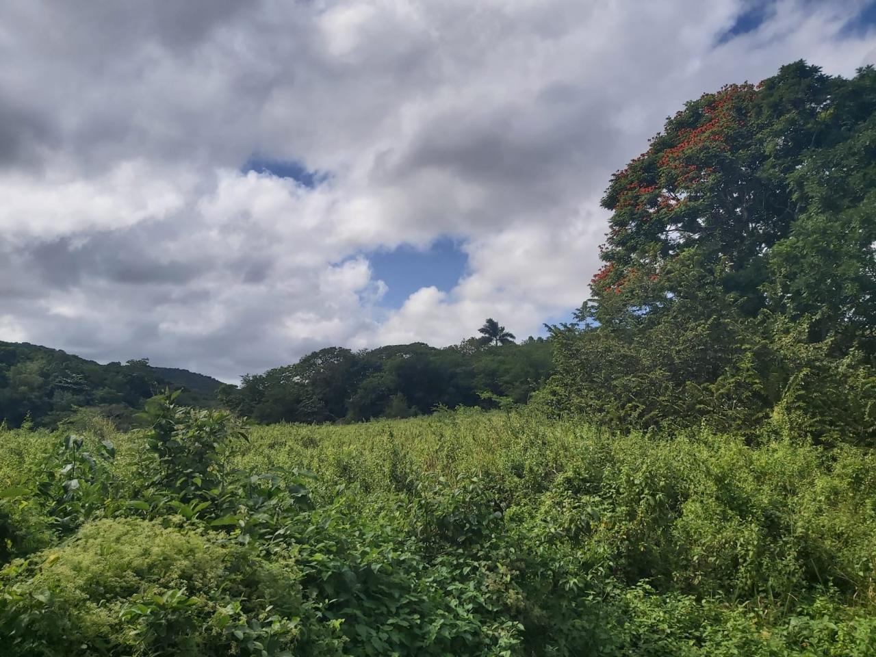 Residential Lot For Sale ADELPHI, ST. JAMES, Adelphi 5,000,000 Keez