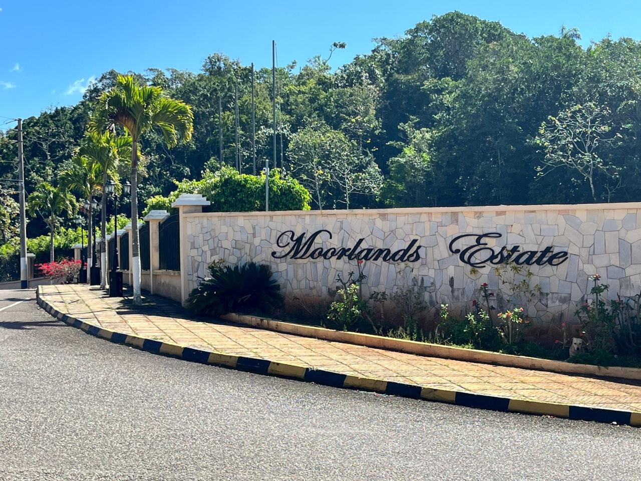 Lots For Sale In Mandeville