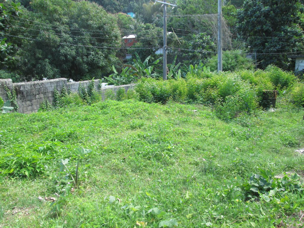 residential-lot-for-sale-nuttall-road-port-antonio-77-500-keez