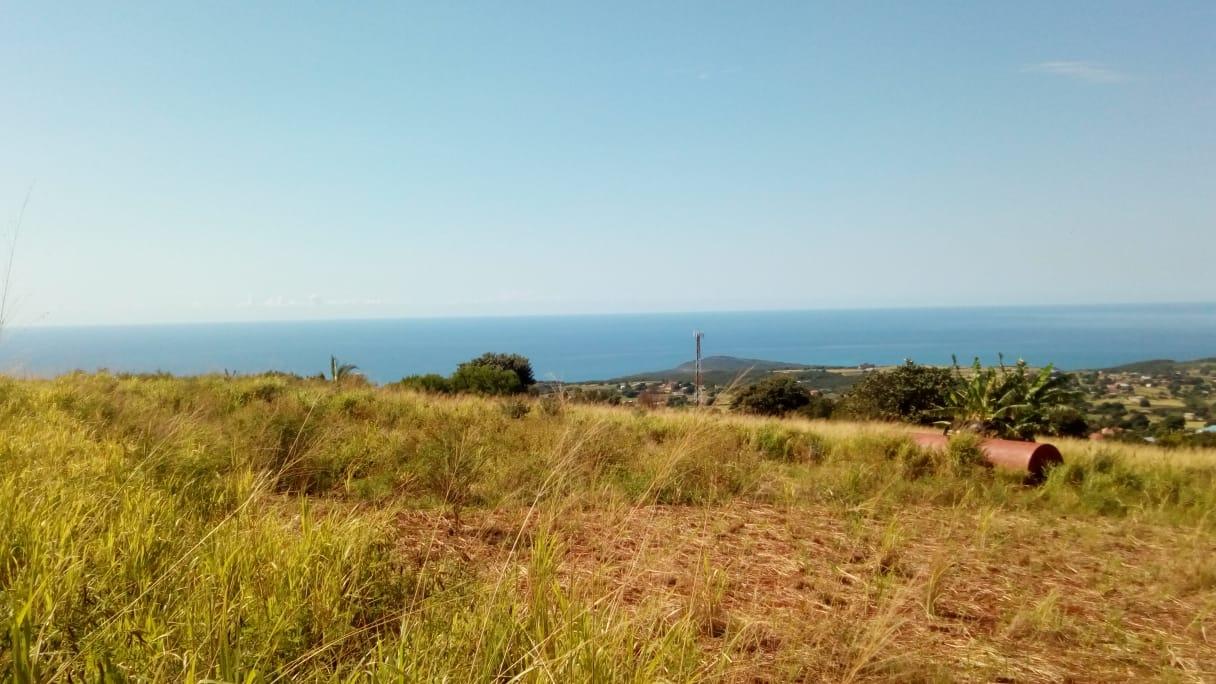 Development Land (Residential) For Sale ROUND HILL, Southfield