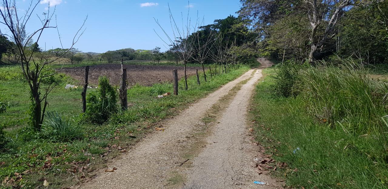 Development Land (Residential) For Sale GREEN ISLAND, Green Island