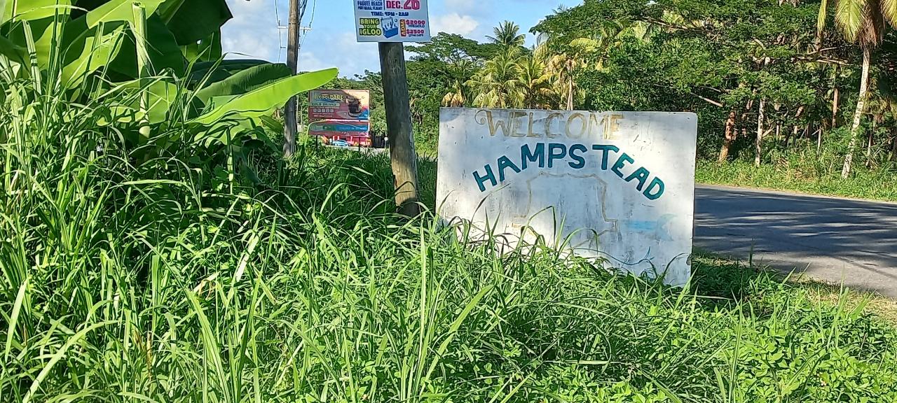 Development Land (Residential) For Sale BALLARDS VALLEY, Hampstead