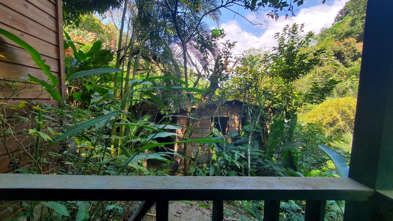 House For Sale GORDON TOWN, Gordon Town 23,000,000 Keez