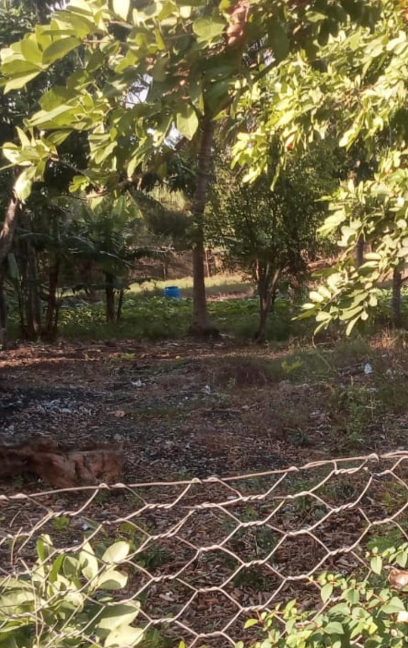 Residential Lot For Sale GREEN PARK, SANDY BAY, May Pen 2,200,000 Keez