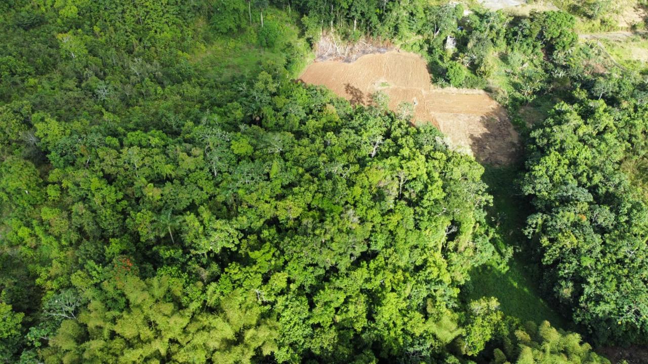 Residential Lot For Sale HERMITAGE ST. ANN, Steer Town 500,000 Keez