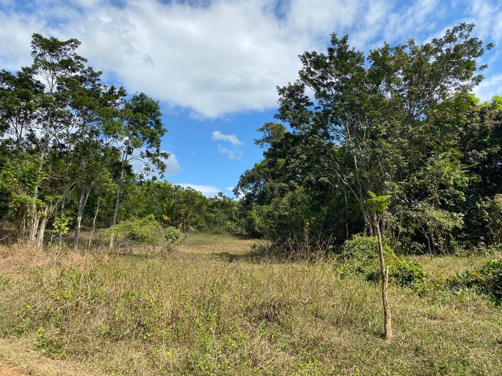 Residential Lot For Sale: THREADWAYS, LINDSTEAD, Linstead | $8,000,000