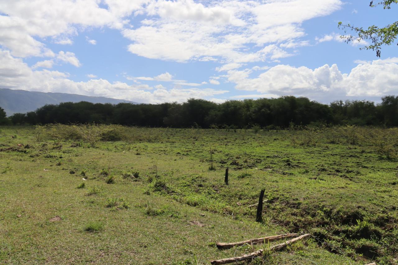 Development Land (Residential) For Sale ELIM, Braes River 6,500,000