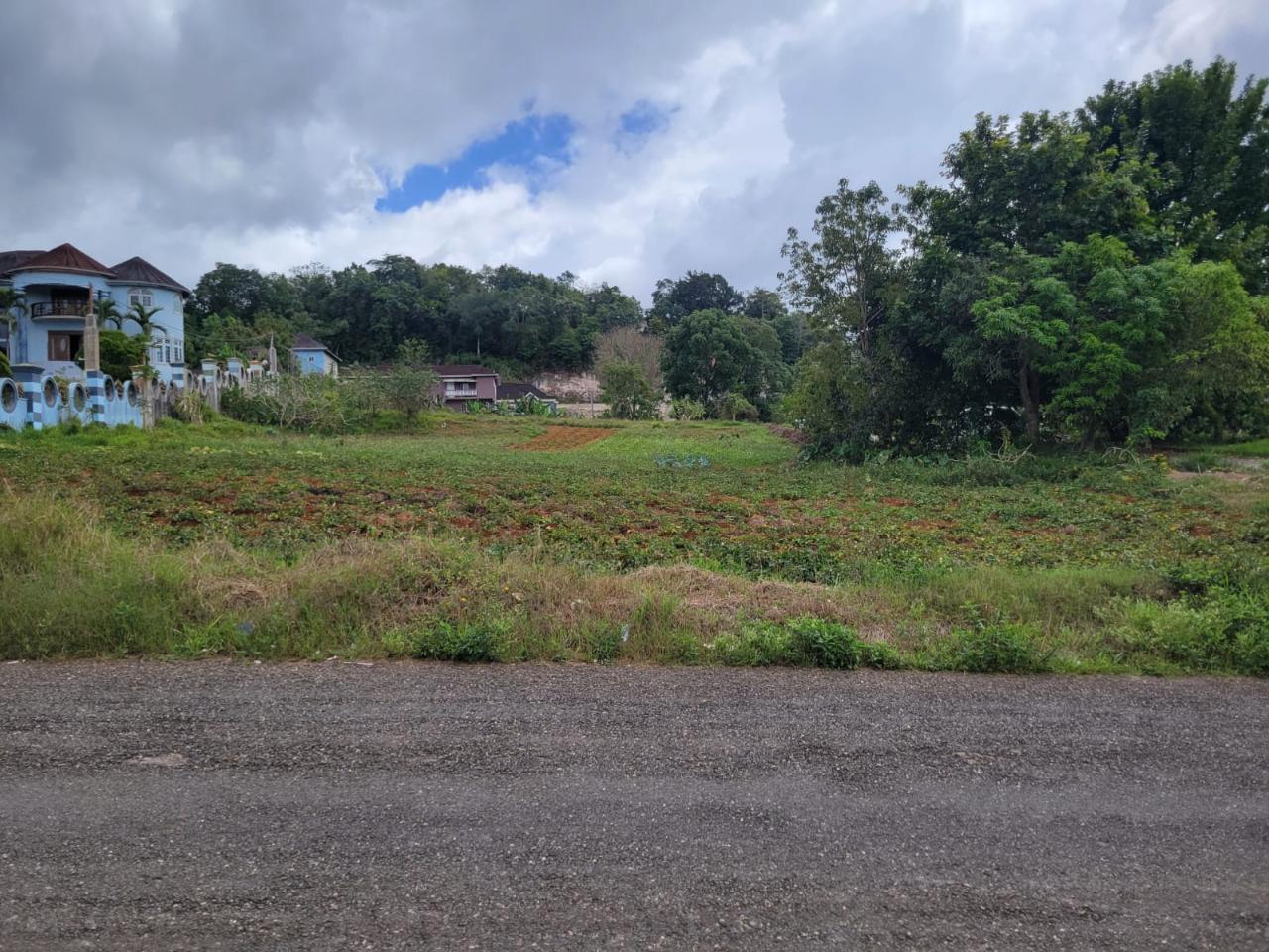 Development Land (Residential) For Sale: WEST ROAD, Mandeville ...