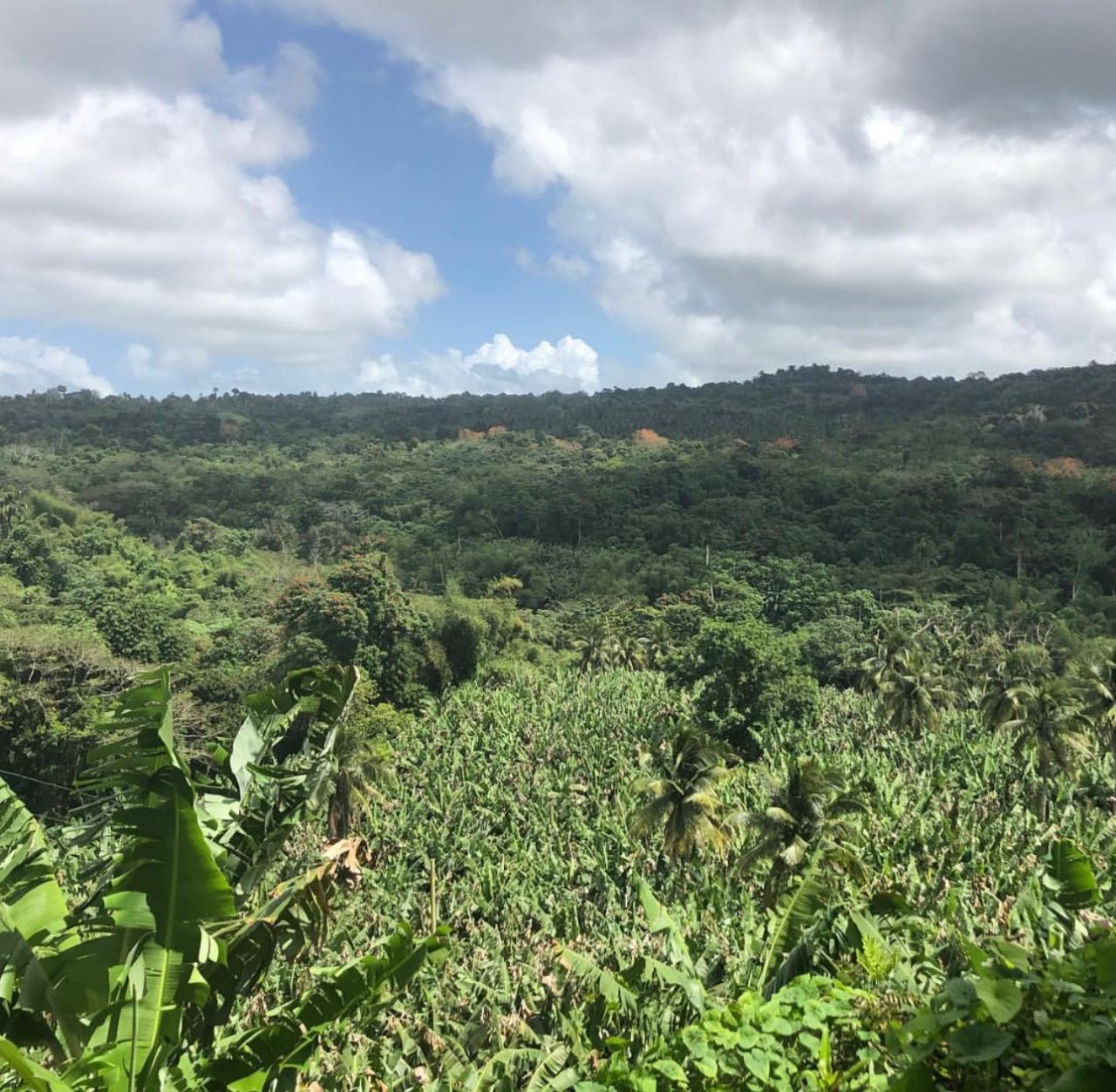 Development Land (Residential) For Sale HIGHGATE, ST MARY, Highgate