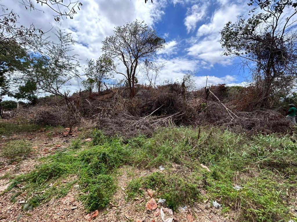 Development Land (Residential) For Sale BRAMBLE HALL NAIN ST ELI