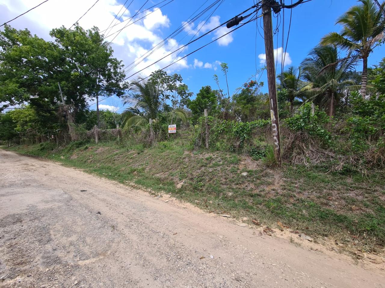 Residential Lot For Sale: ROSEMOUNT ROAD, Linstead | $5,000,000 | Keez