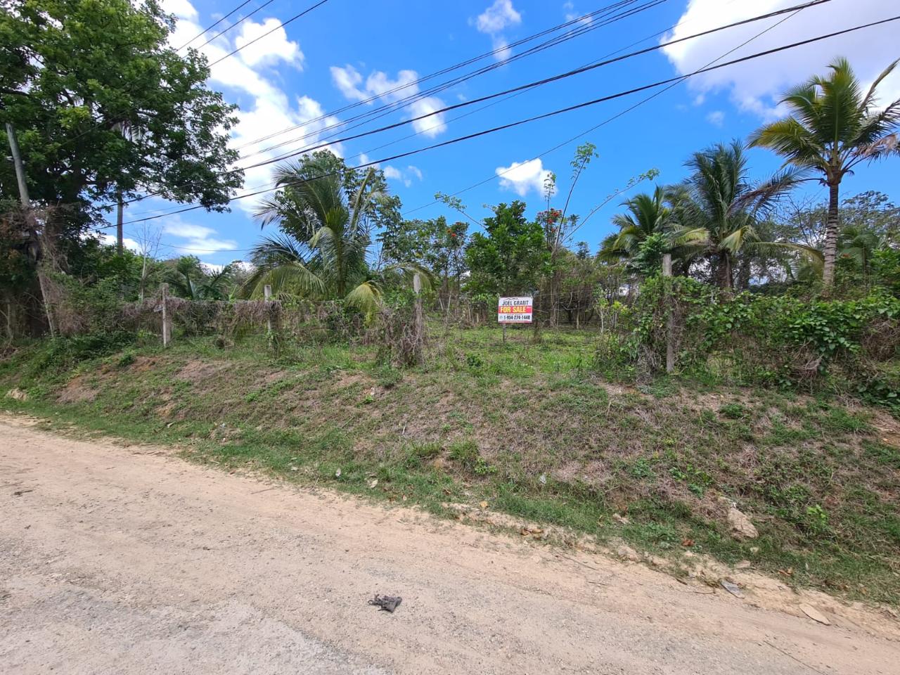 Residential Lot For Sale ROSEMOUNT ROAD, Linstead 5,000,000 Keez