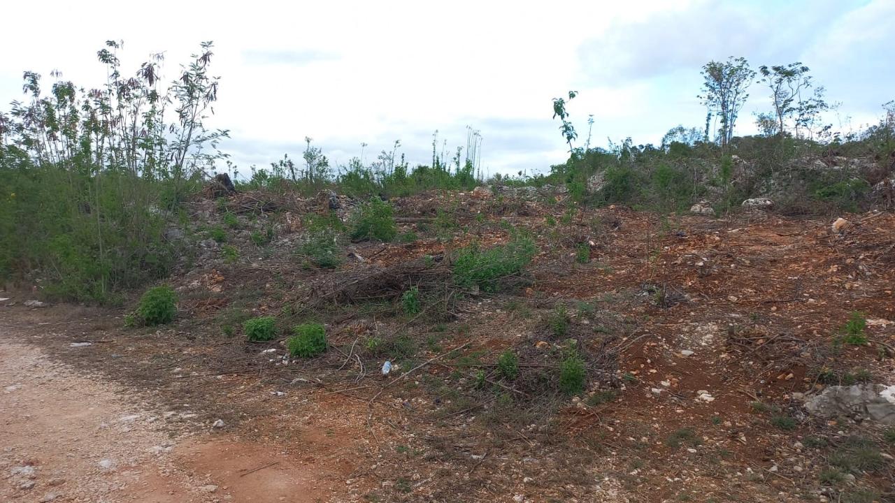 Residential Lot For Sale: HALSE HALL, CLARENDON, May Pen | $6,000,000 ...