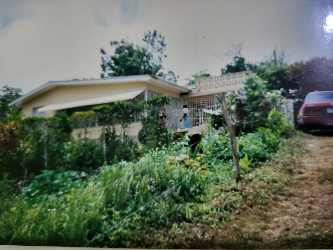 House For Sale CANAAN ROAD BAMBOO ST ANN, Bamboo 100,000 Keez