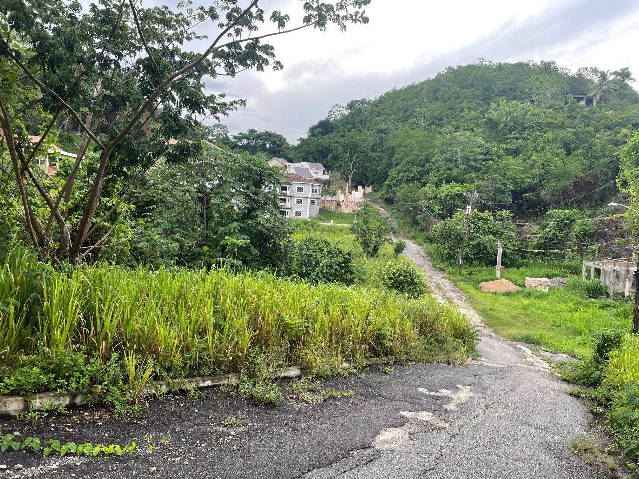 Residential Lot For Sale HORATIO WAY, Kingston 19 16,900,000 Keez