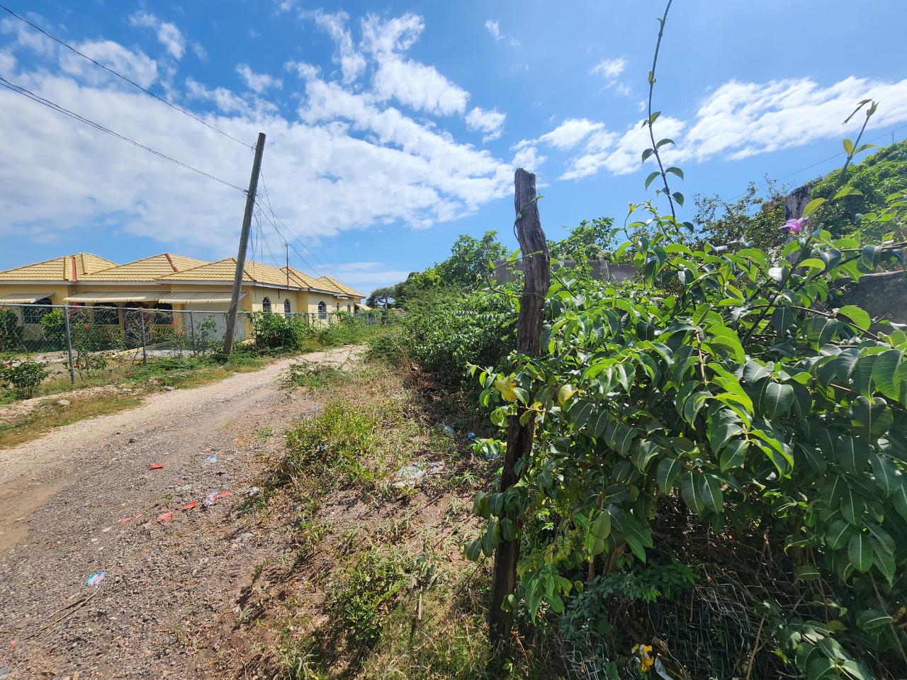 residential-lot-for-sale-thompson-pen-road-old-harbour-bay