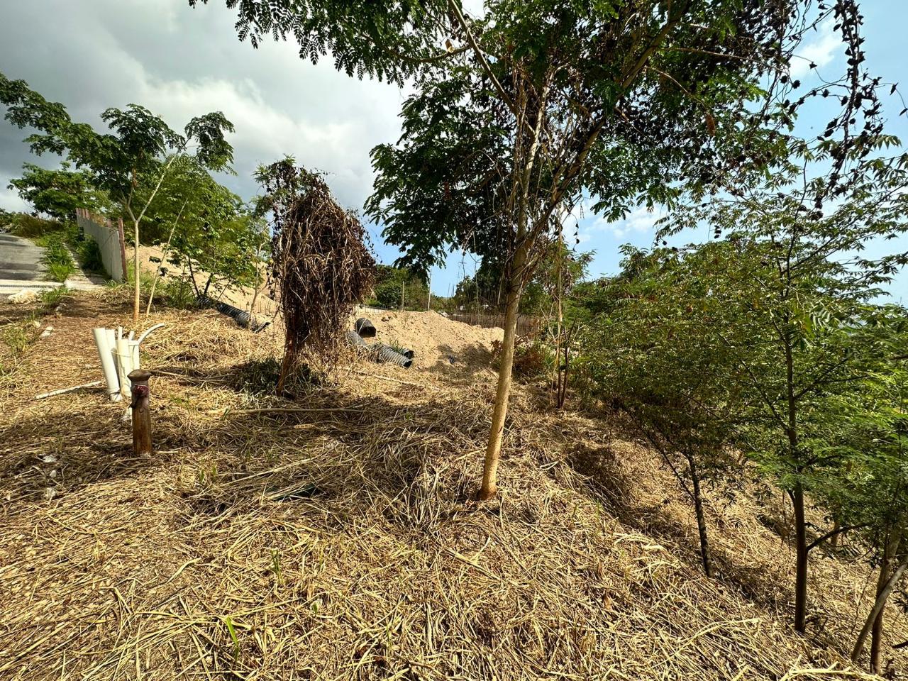 Development Land (Residential) For Sale ESTATE, Kingston 6