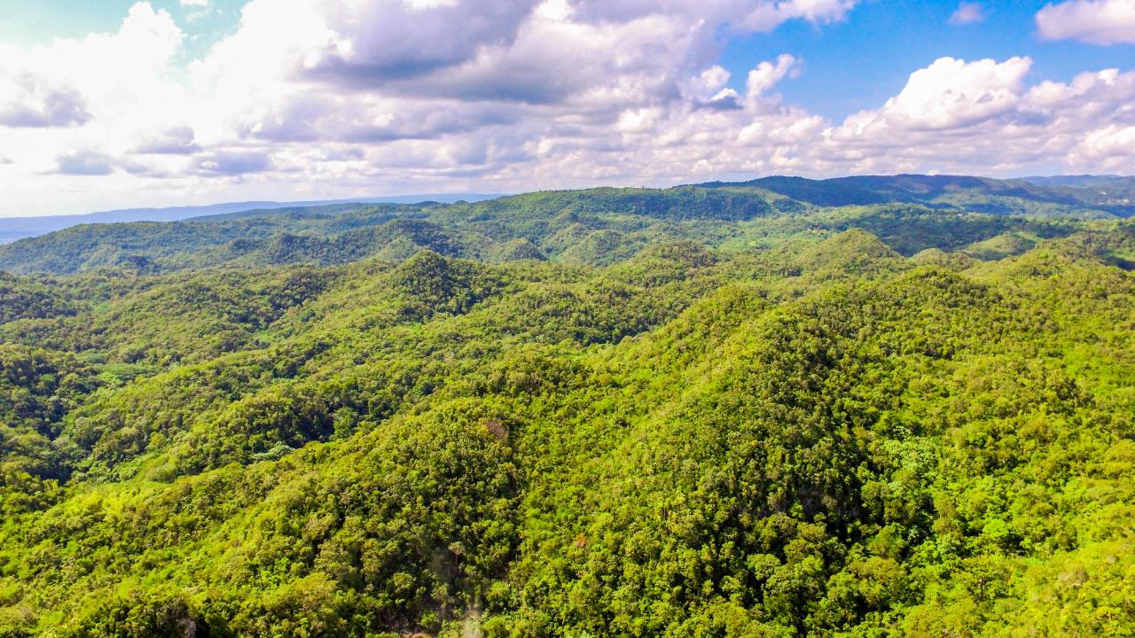 Development Land (Residential) For Sale ASHLEYapos;S CANOE VALLEY