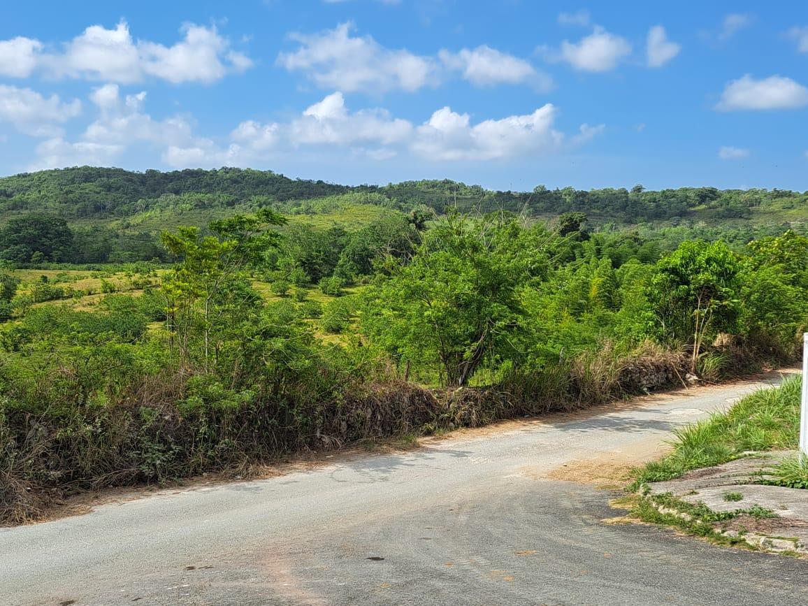 Residential Lot For Sale WALKERSWOOD, ST ANN, Ocho Rios 80,000 Keez