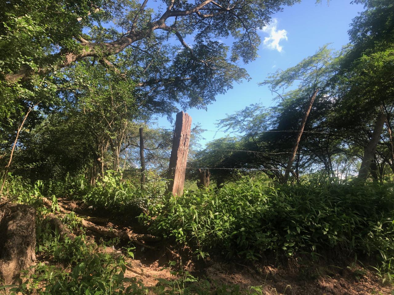 Development Land (Residential) For Sale DENBIGH, CLARENDON, Denbigh